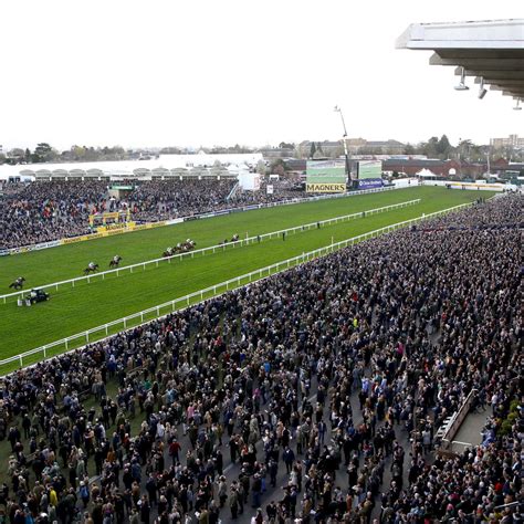 cheltenham festival 2020